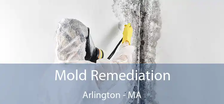 Mold Remediation Arlington - MA