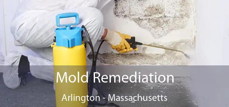 Mold Remediation Arlington - Massachusetts