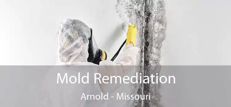 Mold Remediation Arnold - Missouri