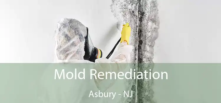 Mold Remediation Asbury - NJ