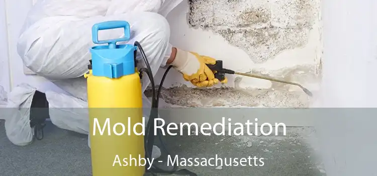 Mold Remediation Ashby - Massachusetts