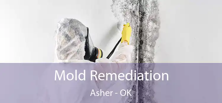 Mold Remediation Asher - OK