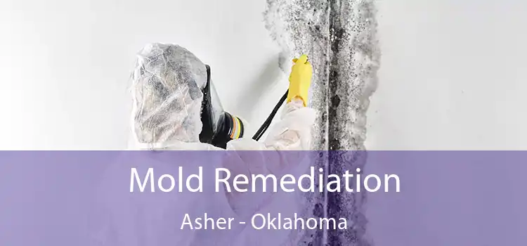 Mold Remediation Asher - Oklahoma