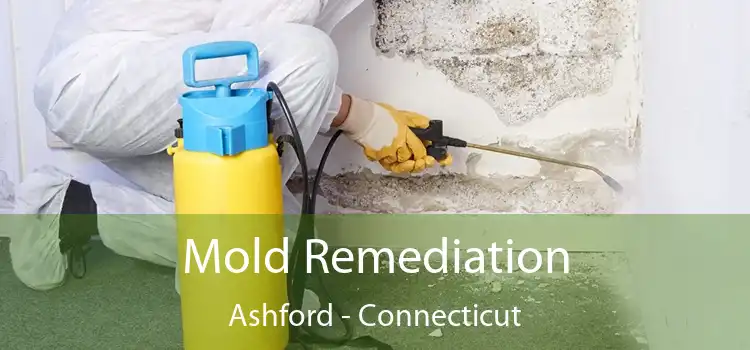 Mold Remediation Ashford - Connecticut