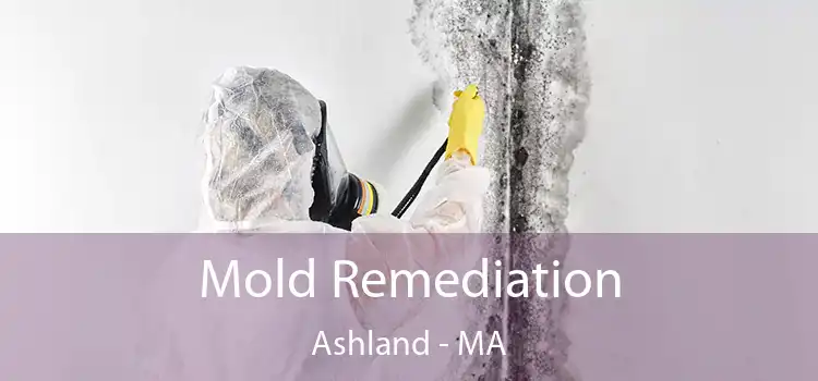 Mold Remediation Ashland - MA