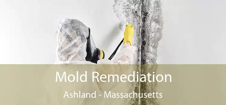 Mold Remediation Ashland - Massachusetts