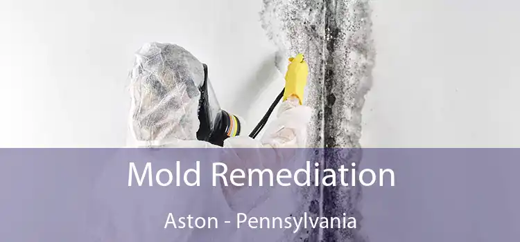 Mold Remediation Aston - Pennsylvania