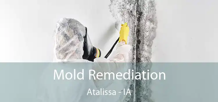 Mold Remediation Atalissa - IA