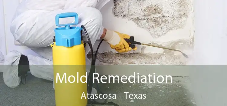 Mold Remediation Atascosa - Texas