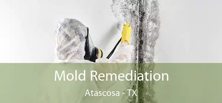 Mold Remediation Atascosa - TX