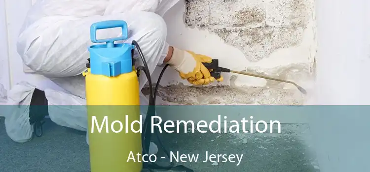 Mold Remediation Atco - New Jersey