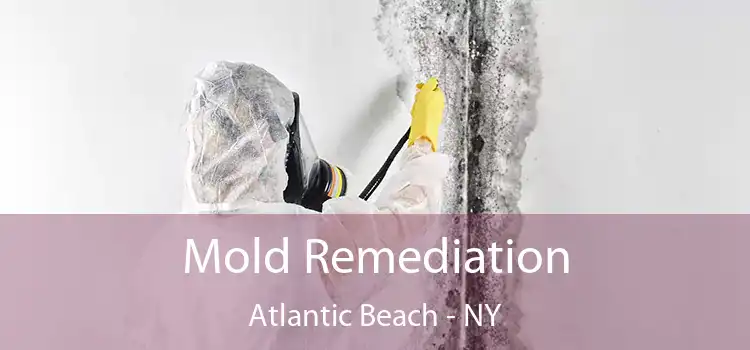 Mold Remediation Atlantic Beach - NY