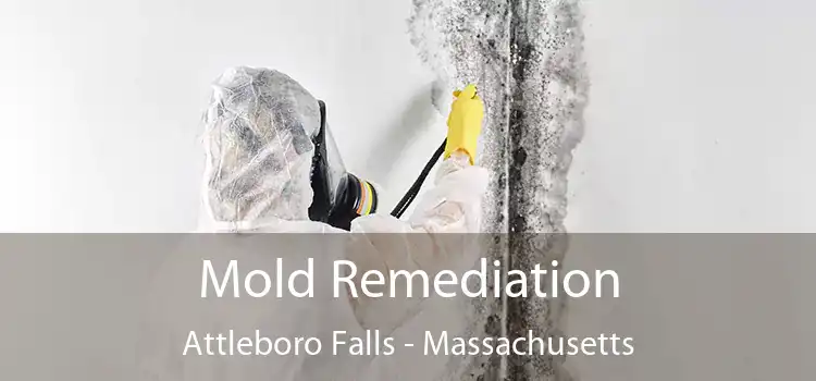 Mold Remediation Attleboro Falls - Massachusetts