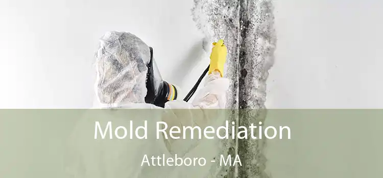 Mold Remediation Attleboro - MA