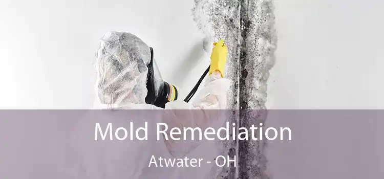 Mold Remediation Atwater - OH