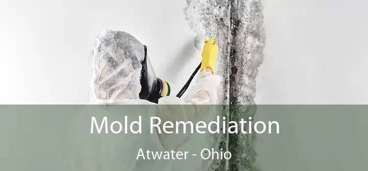 Mold Remediation Atwater - Ohio