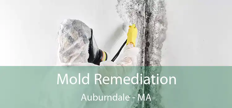 Mold Remediation Auburndale - MA