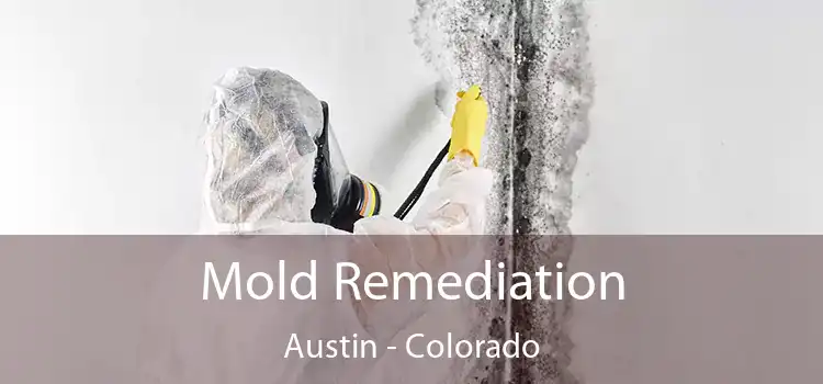 Mold Remediation Austin - Colorado