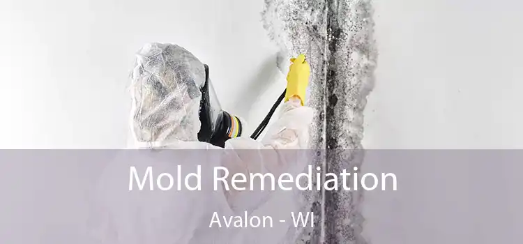 Mold Remediation Avalon - WI