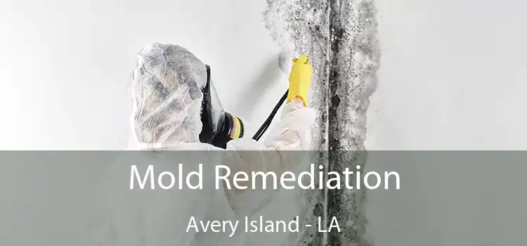 Mold Remediation Avery Island - LA