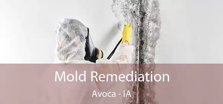 Mold Remediation Avoca - IA