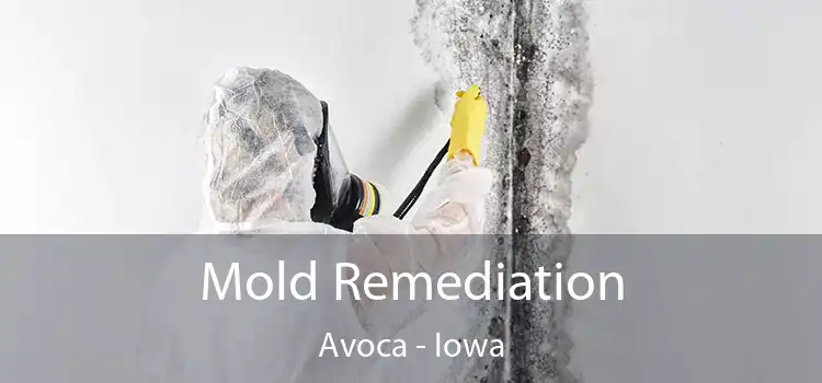 Mold Remediation Avoca - Iowa