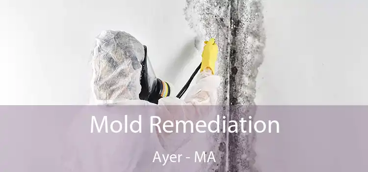 Mold Remediation Ayer - MA