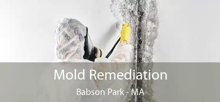 Mold Remediation Babson Park - MA