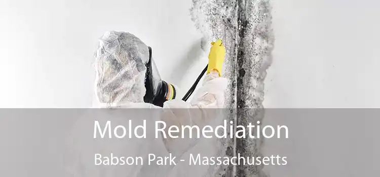 Mold Remediation Babson Park - Massachusetts