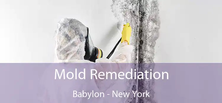 Mold Remediation Babylon - New York