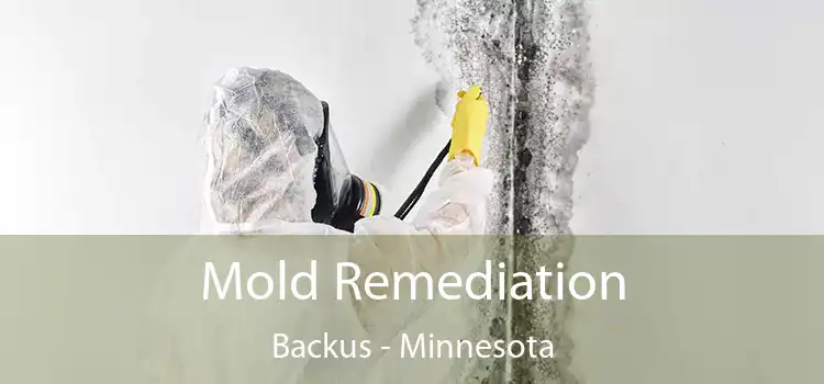 Mold Remediation Backus - Minnesota