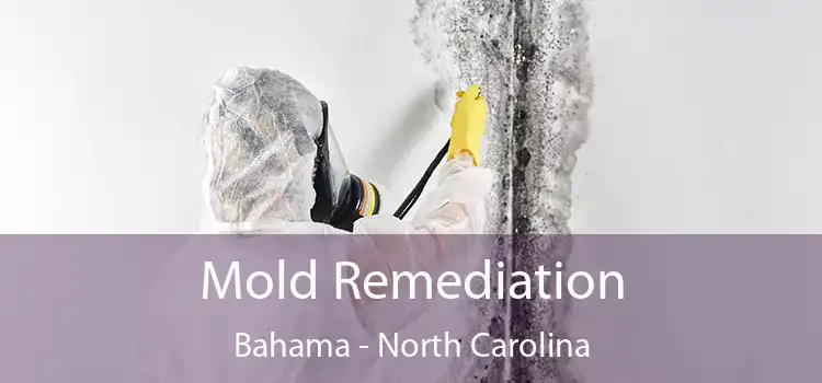 Mold Remediation Bahama - North Carolina