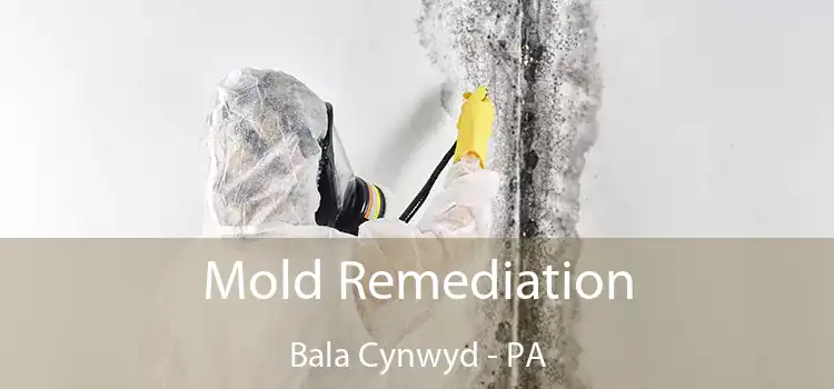 Mold Remediation Bala Cynwyd - PA