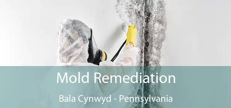 Mold Remediation Bala Cynwyd - Pennsylvania