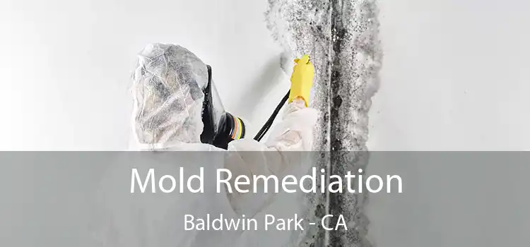 Mold Remediation Baldwin Park - CA