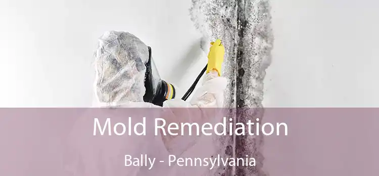 Mold Remediation Bally - Pennsylvania