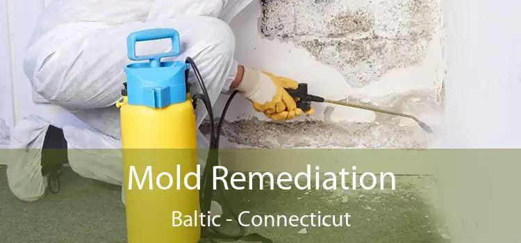 Mold Remediation Baltic - Connecticut