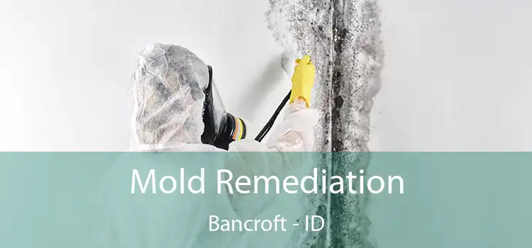 Mold Remediation Bancroft - ID