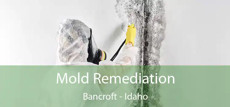 Mold Remediation Bancroft - Idaho