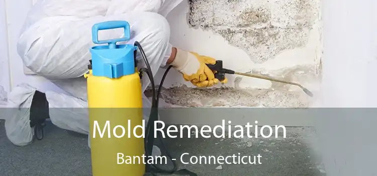 Mold Remediation Bantam - Connecticut