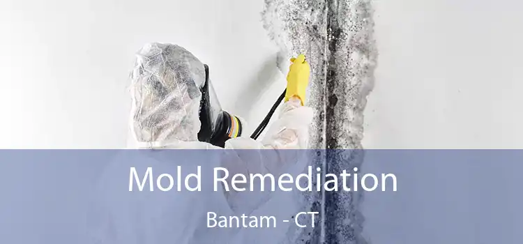 Mold Remediation Bantam - CT