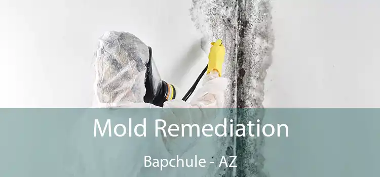 Mold Remediation Bapchule - AZ