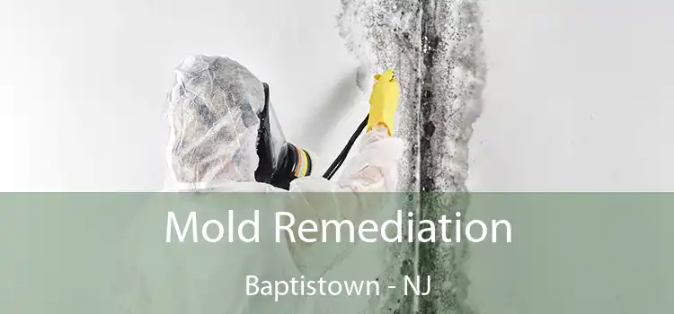 Mold Remediation Baptistown - NJ