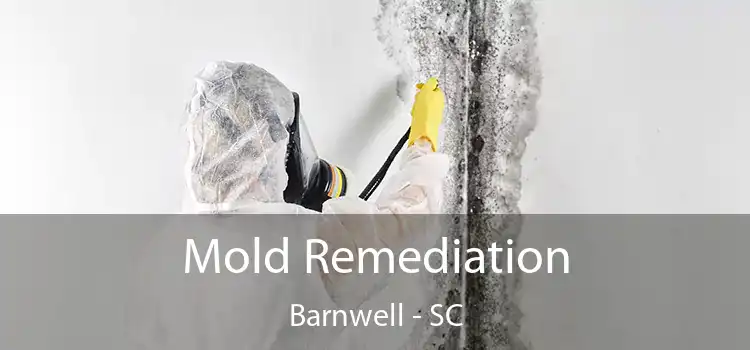 Mold Remediation Barnwell - SC