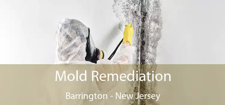 Mold Remediation Barrington - New Jersey