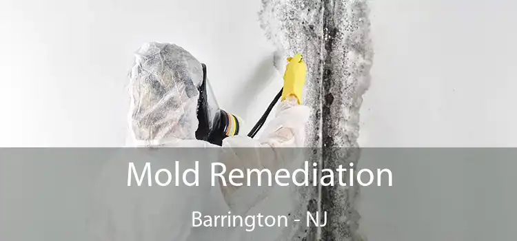 Mold Remediation Barrington - NJ