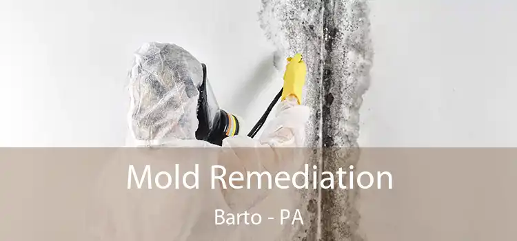 Mold Remediation Barto - PA