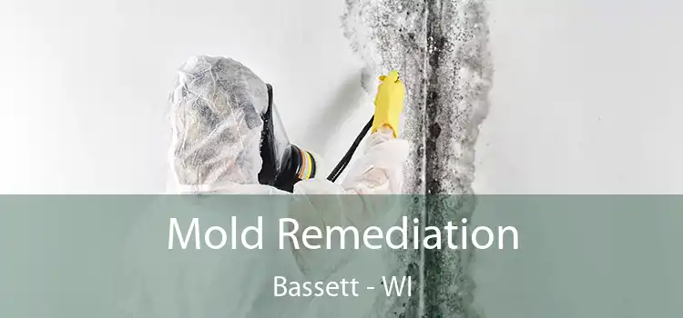 Mold Remediation Bassett - WI