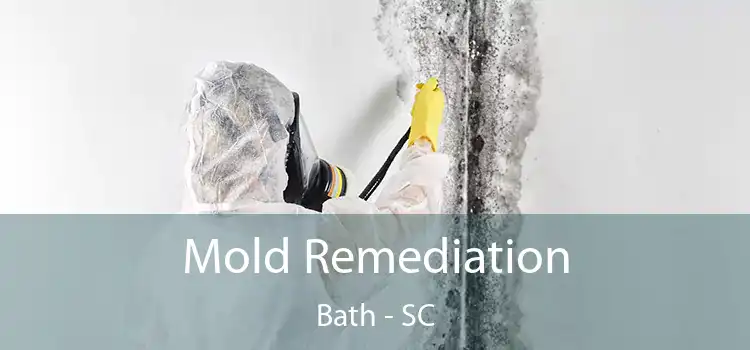 Mold Remediation Bath - SC