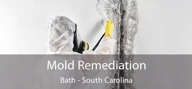 Mold Remediation Bath - South Carolina